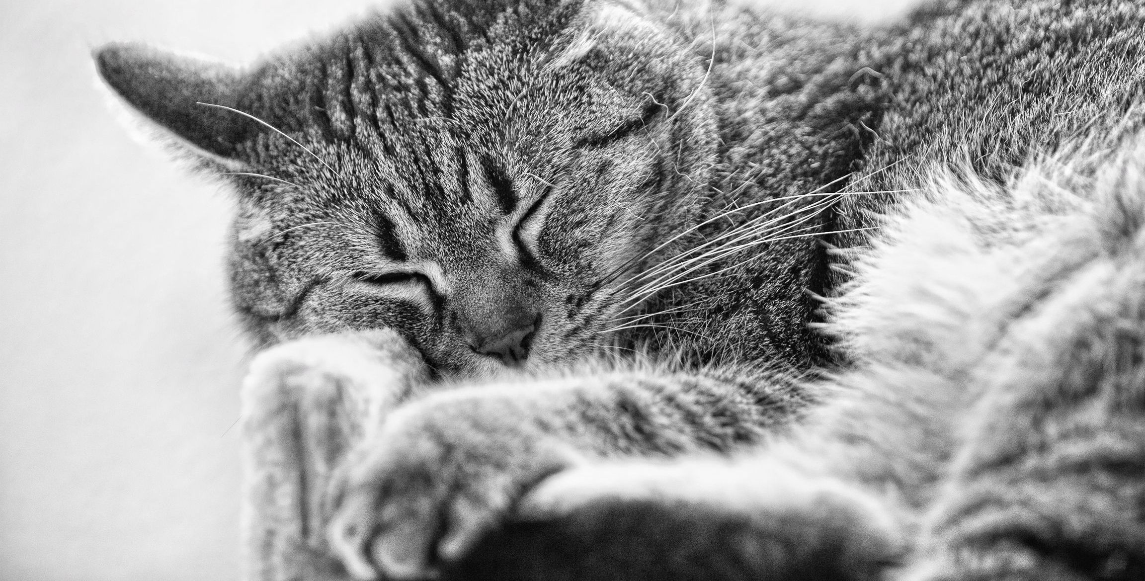 Random header banner 2